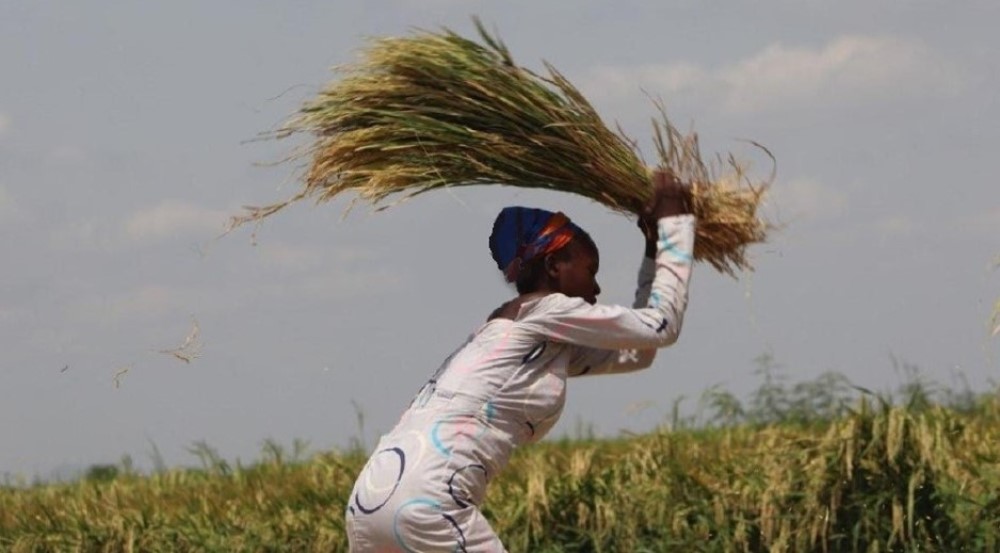 Derribando Fortalezas