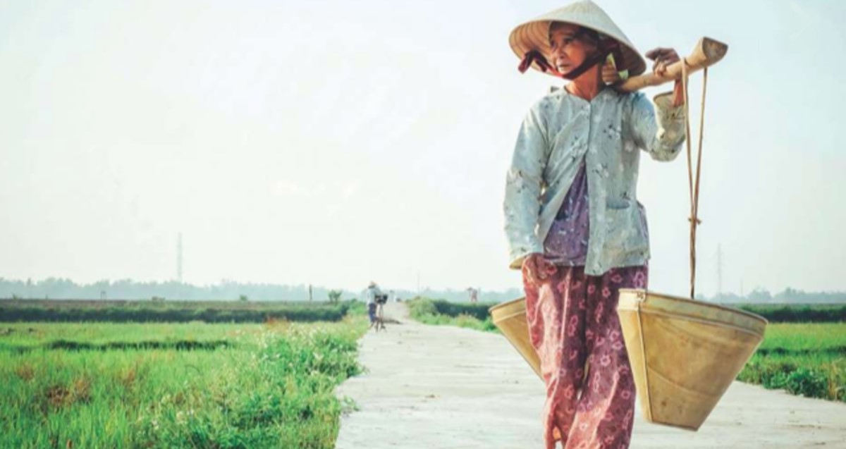 Porque nos amó primero