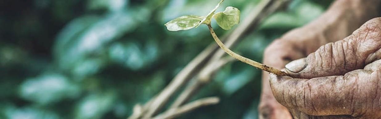 Armas poderosas en Dios