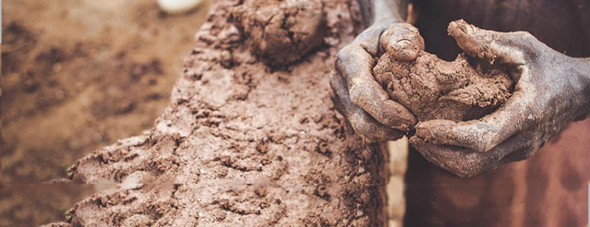 ¿Transformación de quién?