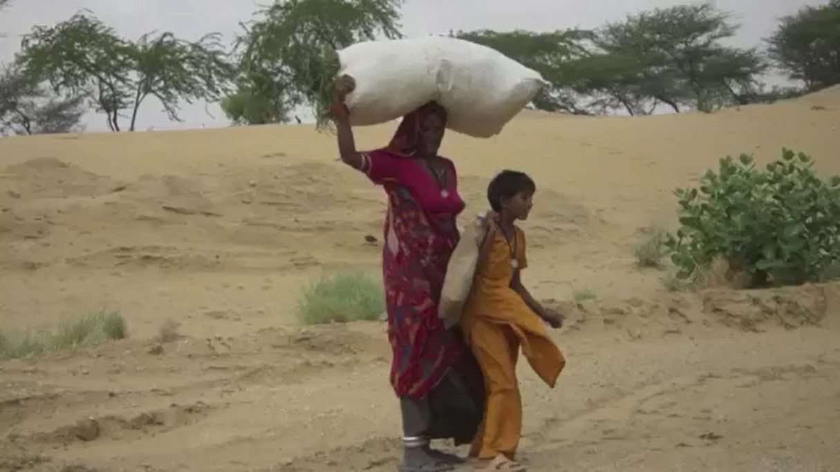 Perseverancia en las Pruebas