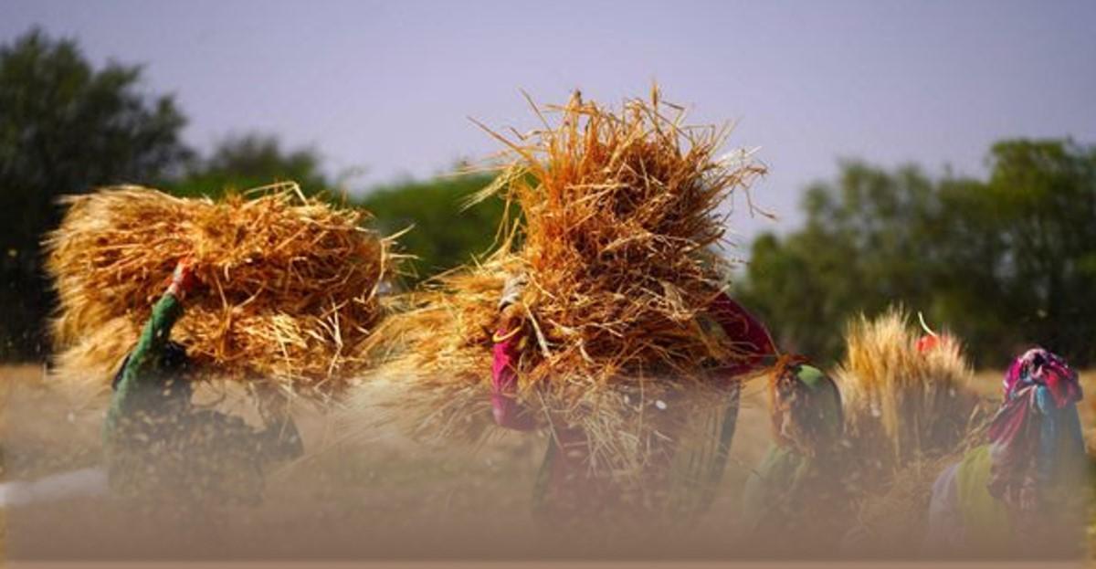 Acción de gracias por obreros